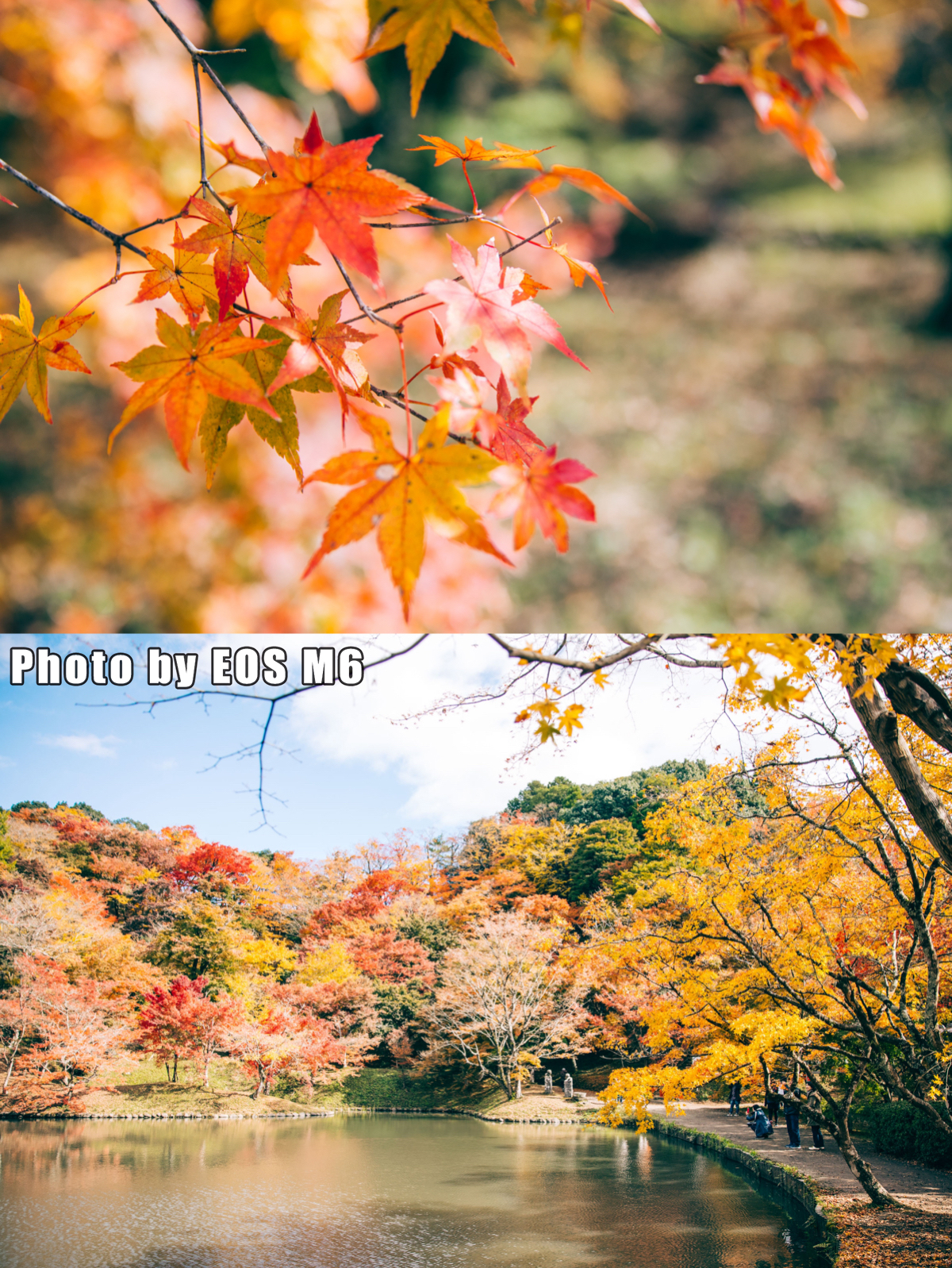 日本九州温泉旅游攻略,日本温泉大攻略