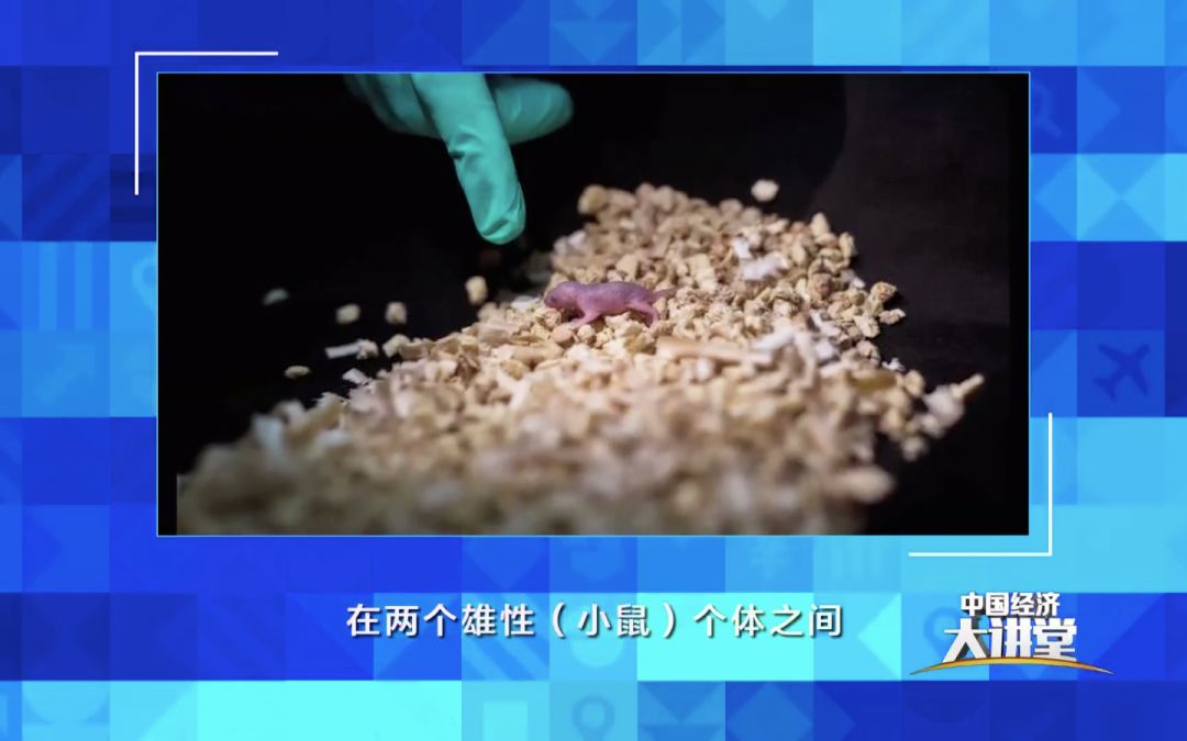 干细胞有哪些新突破,干细胞技术到底能为我们做什么