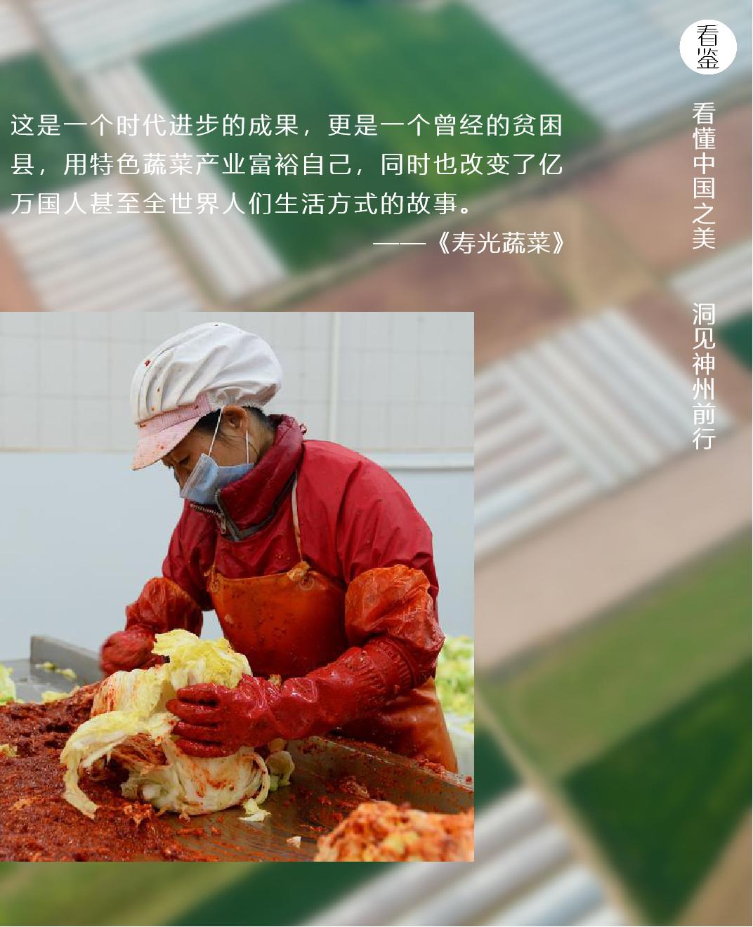 一颗白菜卖60多块钱!拯救韩国人今年的餐桌,全靠山东寿光了