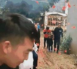 搞笑视频,搞笑动图gif猫咪