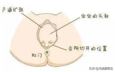 免疫治疗不良反应科普图文,免疫因素怀孕早期保胎几率大吗