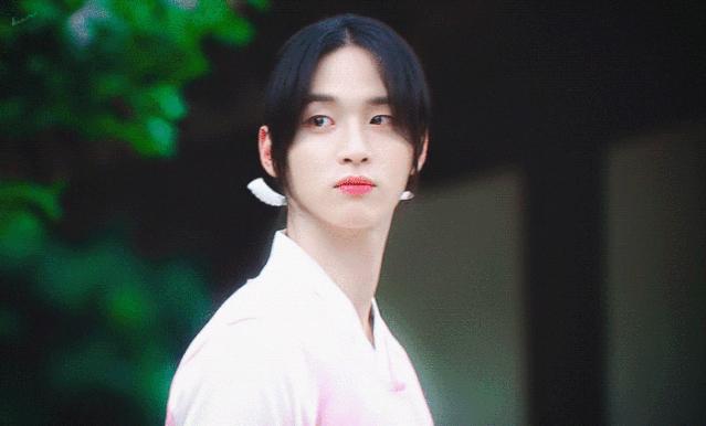 盘点韩剧男扮女装,韩剧男扮女装宫廷男主很帅