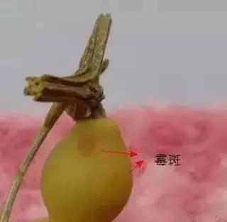 手串发霉了还能戴么,手串发霉可不可以用酒精消毒