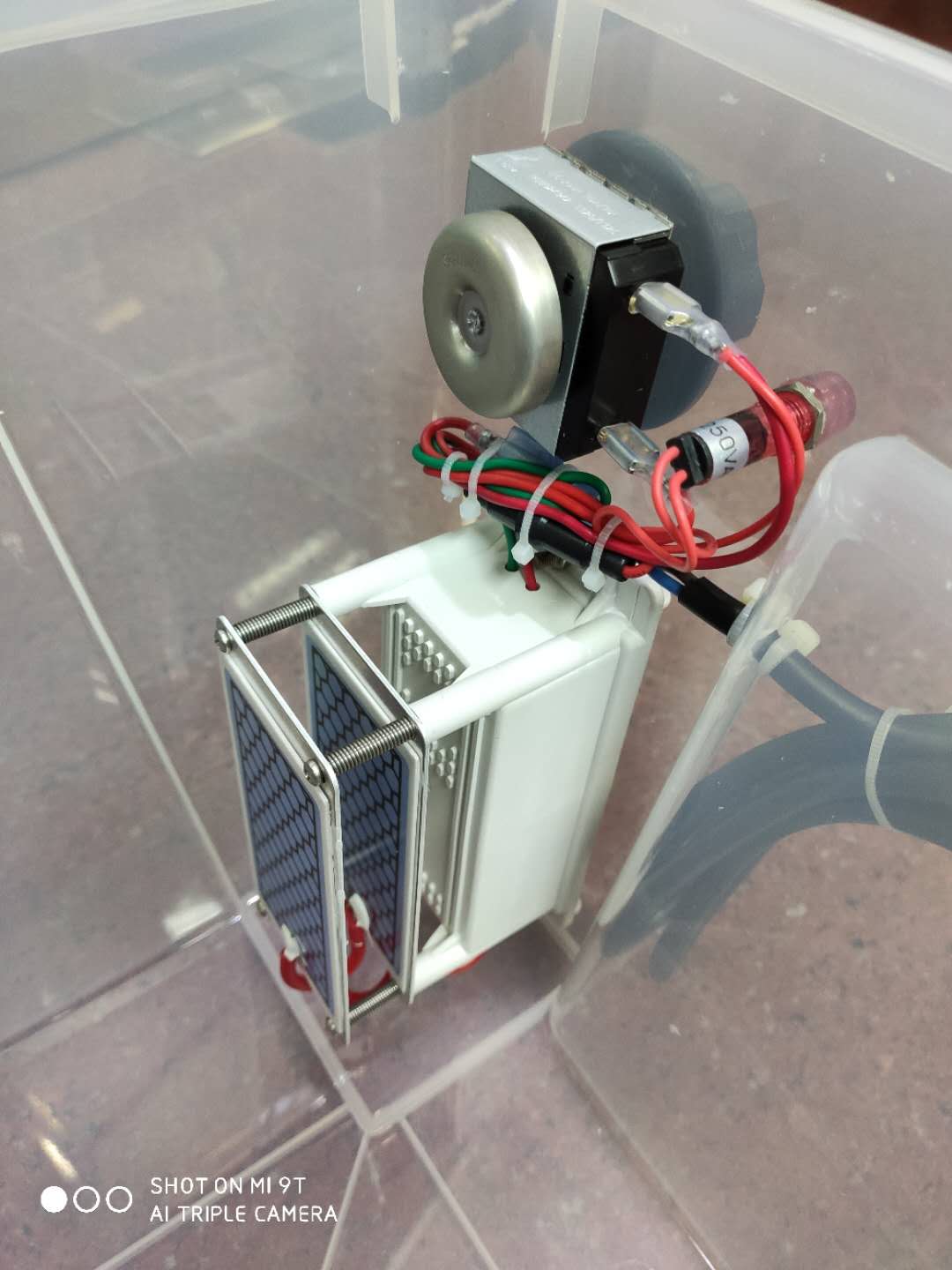 大自然的礼物868,大自然的礼物