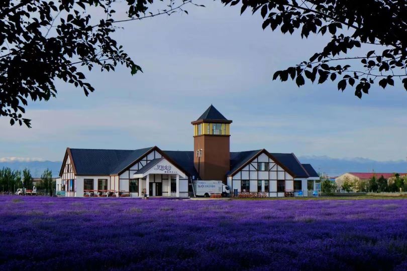 植物物语香草沐浴露,植物园薰衣草
