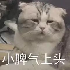 真假进口鱼钩,拆穿鱼钩的十大骗局