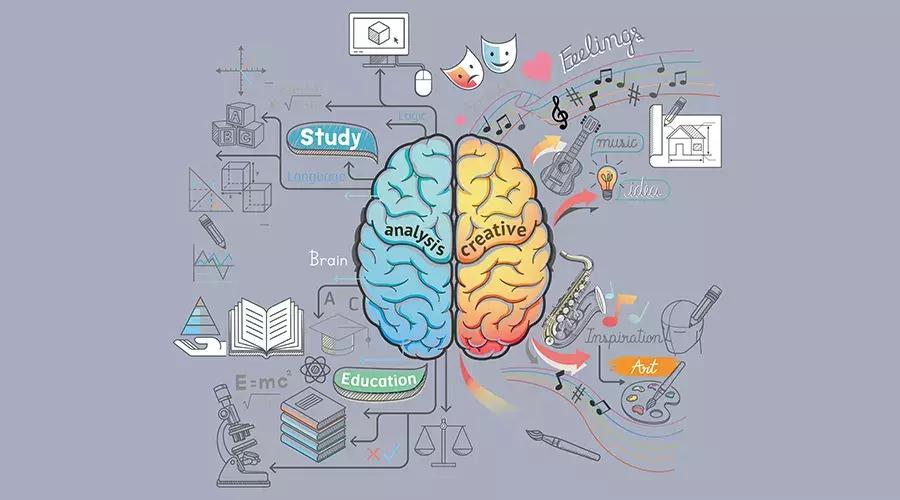 为什么儿科医生不建议吃dha,dha到底有多重要该怎么补