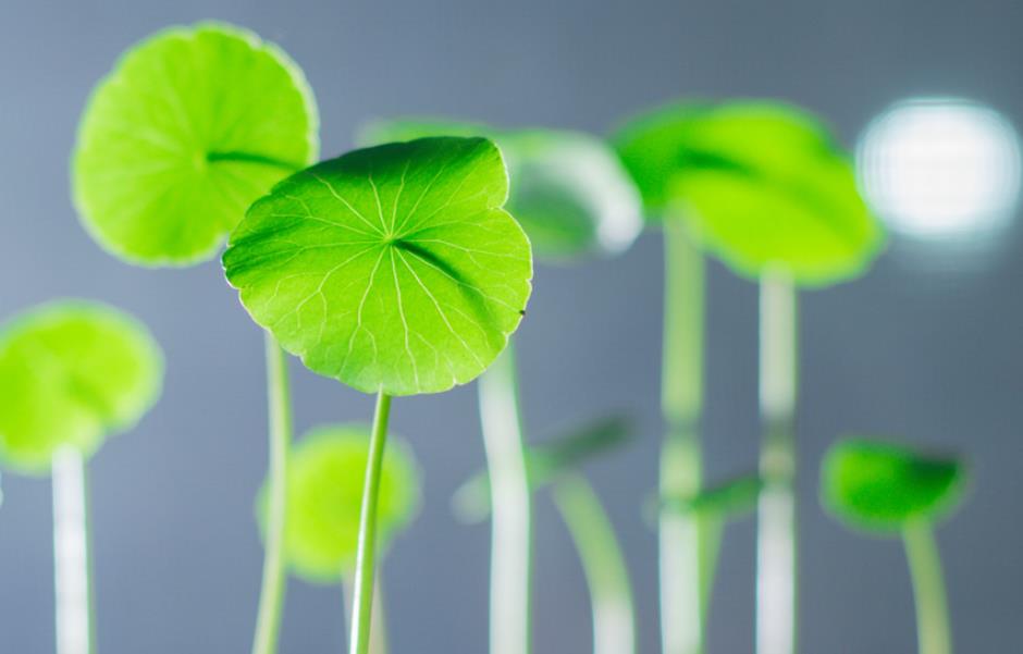 做人要懂得投资自己,做人赚钱的原则