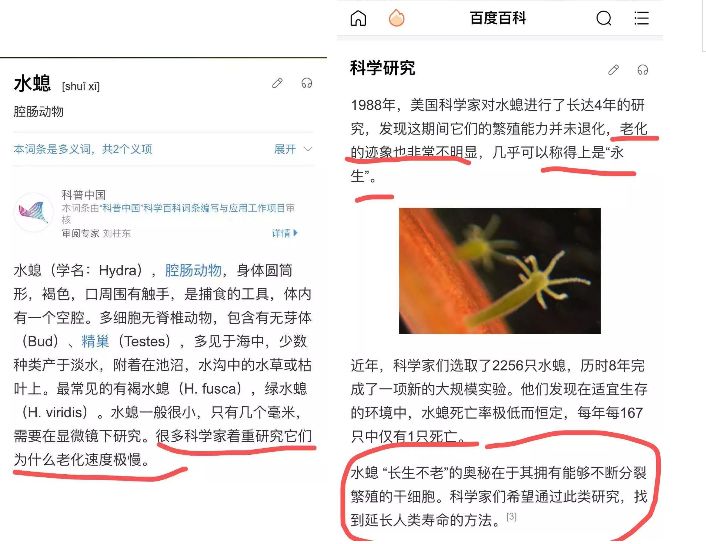 眼部常见问题有哪些,常见眼部问题