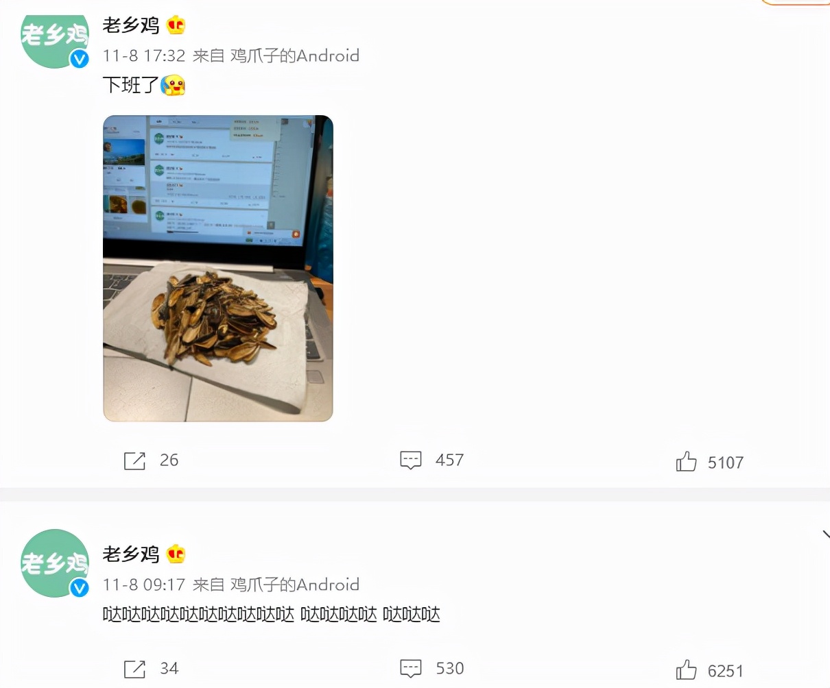 「大问局之老乡鸡」每天工作咯咯哒，土味老乡鸡真的土味吗？