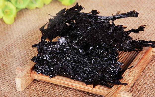 养狗的狗狗能吃什么,养狗知识大全不咬人