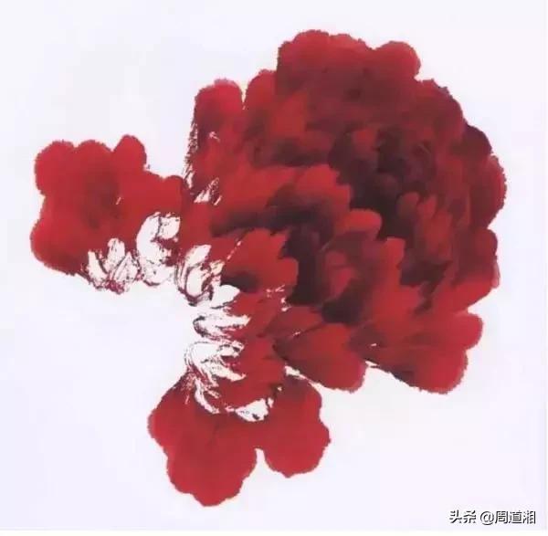 九种牡丹调色法,牡丹九大色系图片大全