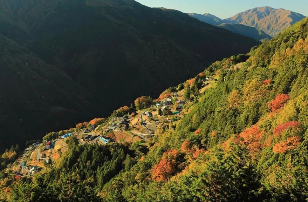 日本长野县旅行,日本长野赏樱旅游攻略