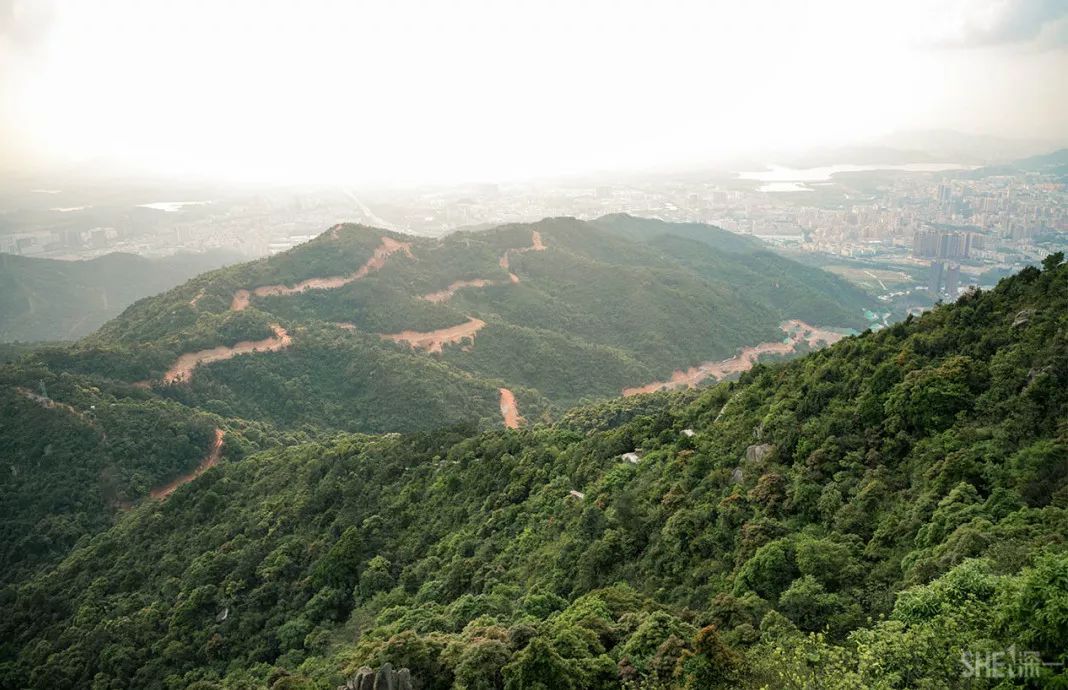 鍘夊浜嗘垜鐨勫ぇ閽﹀窞,鍘夊浜嗘垜鐨勫ぇ淇濆畾
