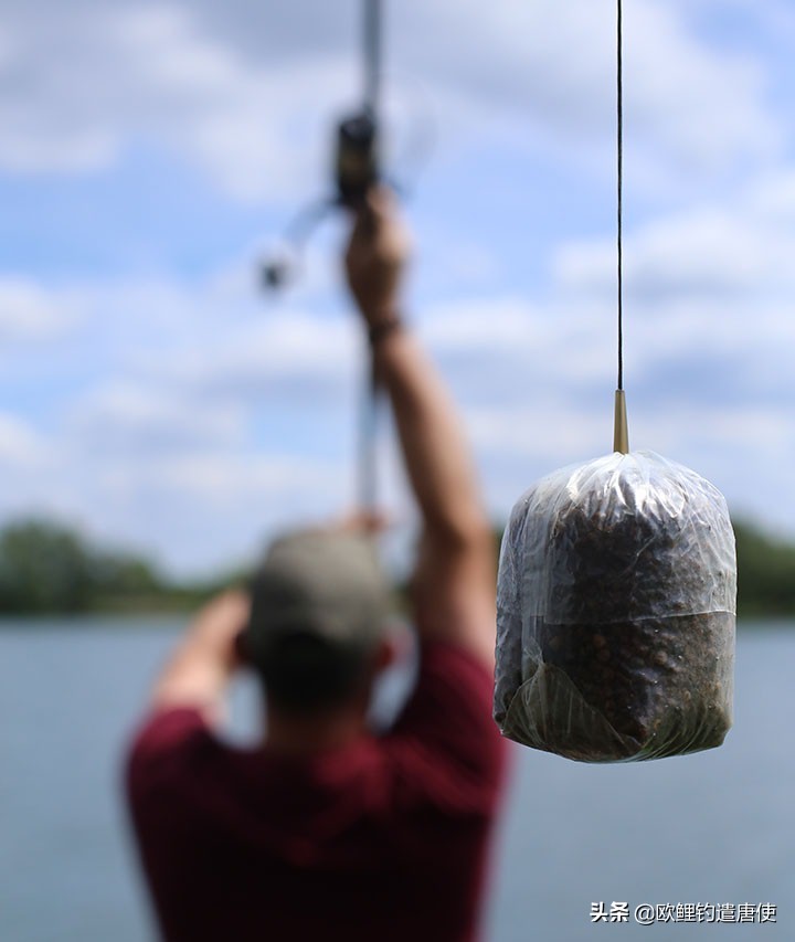 话说欧鲤钓组全集,欧鲤钓法pva