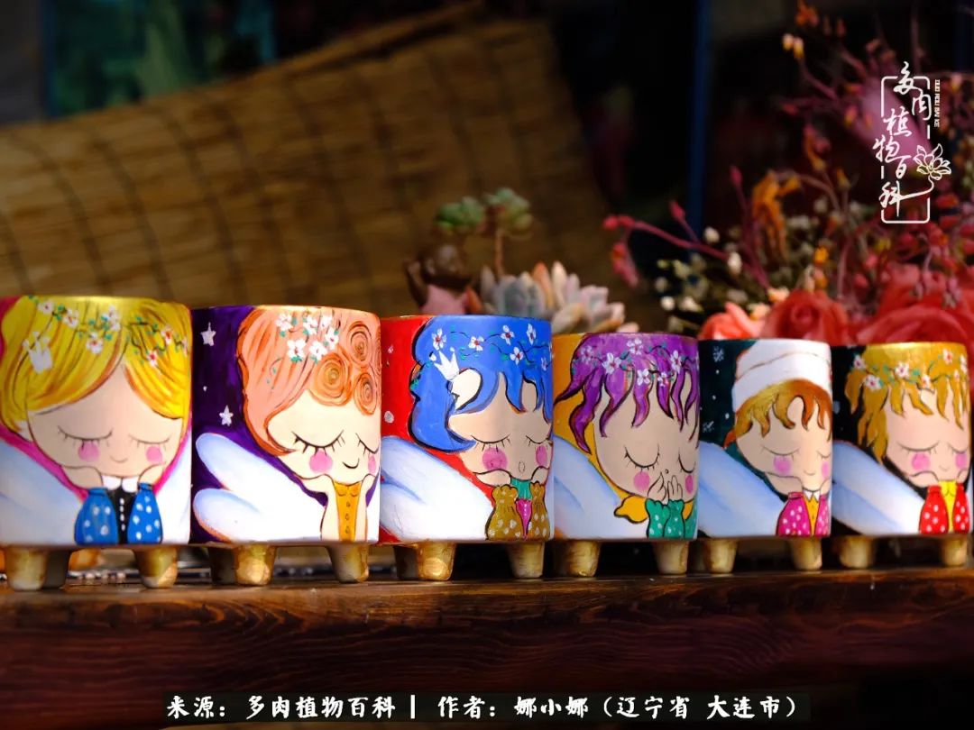 你是盆我是花，你护我周全，我为你绽放