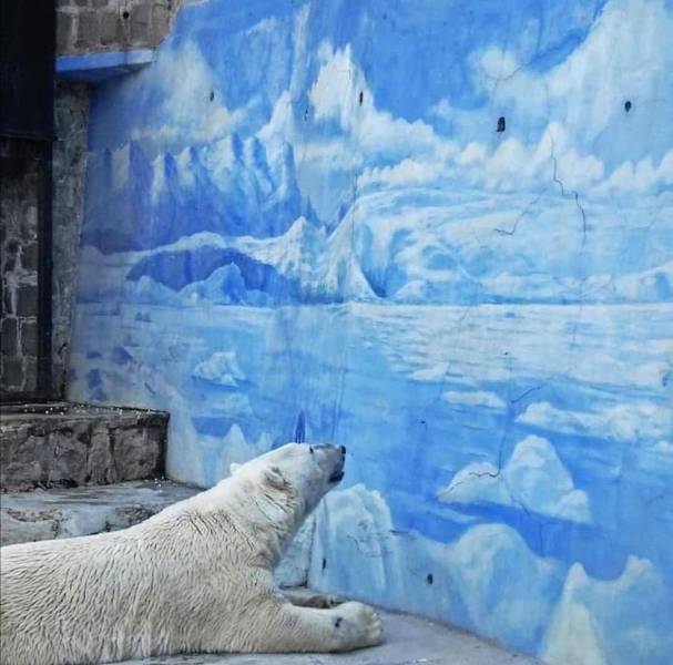 50张照片每一张都让人赞叹不已,50张让人叹为观止的照片