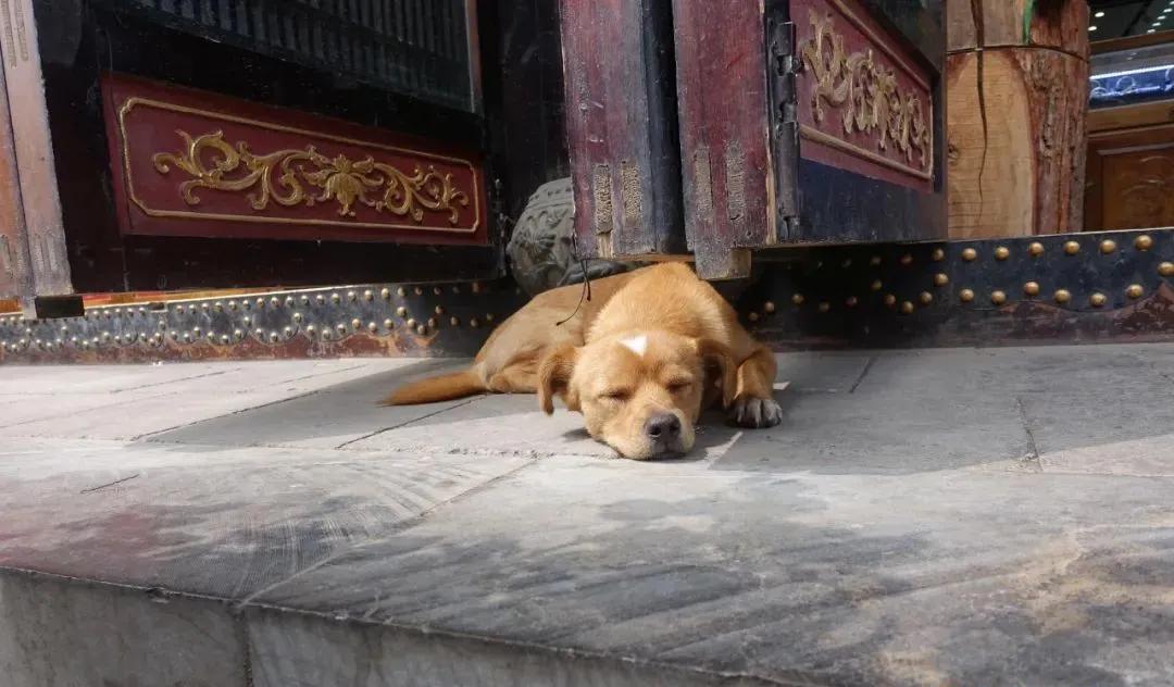 山西有哪些大院值得去,山西值得一去吗