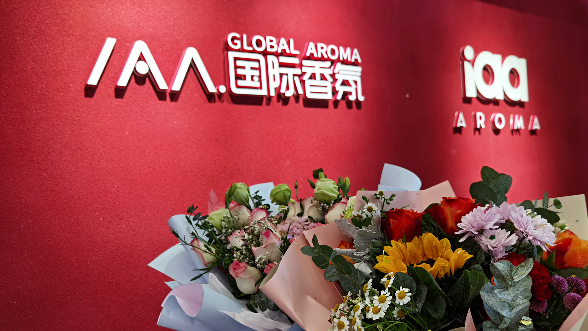 iaa国际香氛生活电器旗舰店直播,iaa国际香氛旗舰店是哪个国家