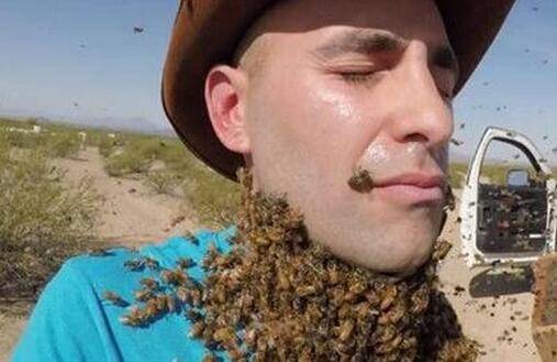 罕见!四川一男子收获2.4米196斤红娘大黑蜂蜂窝,它究竟有多毒?