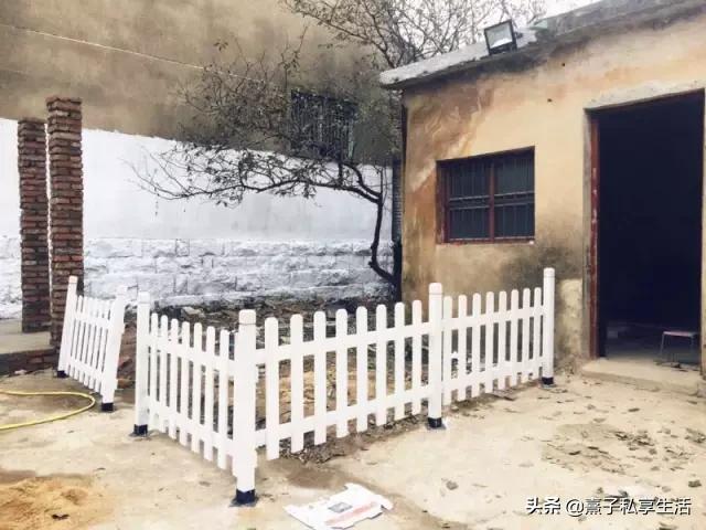 怎么打造低成本花园,怎么用几十元造花园