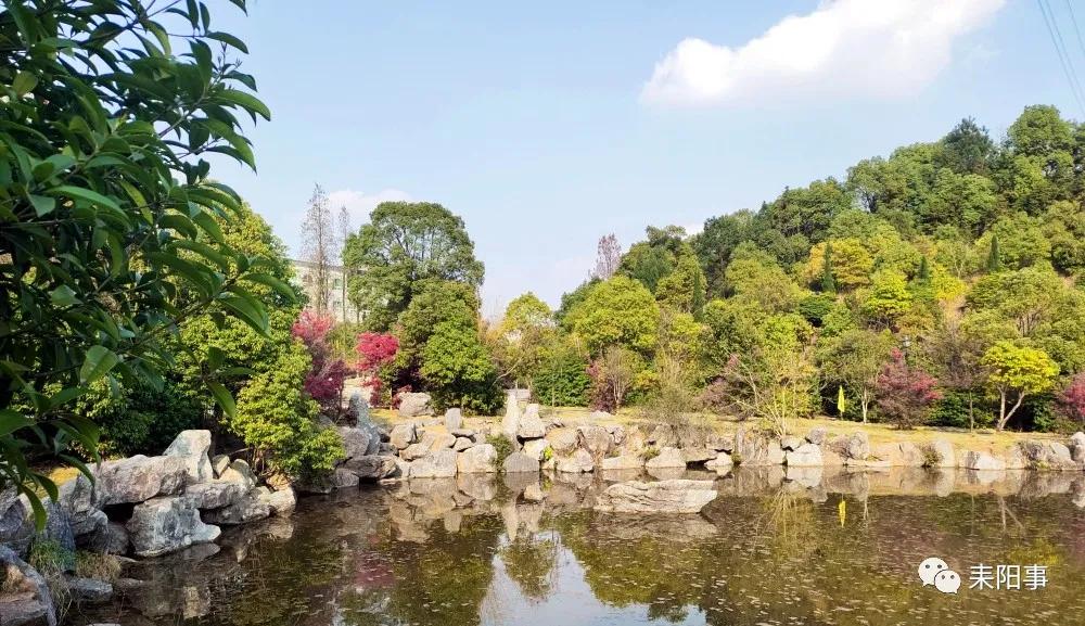 迎接校园里的百花齐放,教室窗外百花齐放