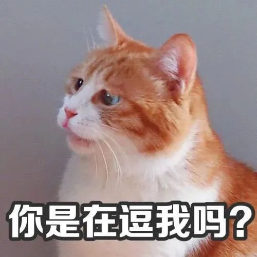 蟑螂为什么杀不干净,微波炉杀不死蟑螂