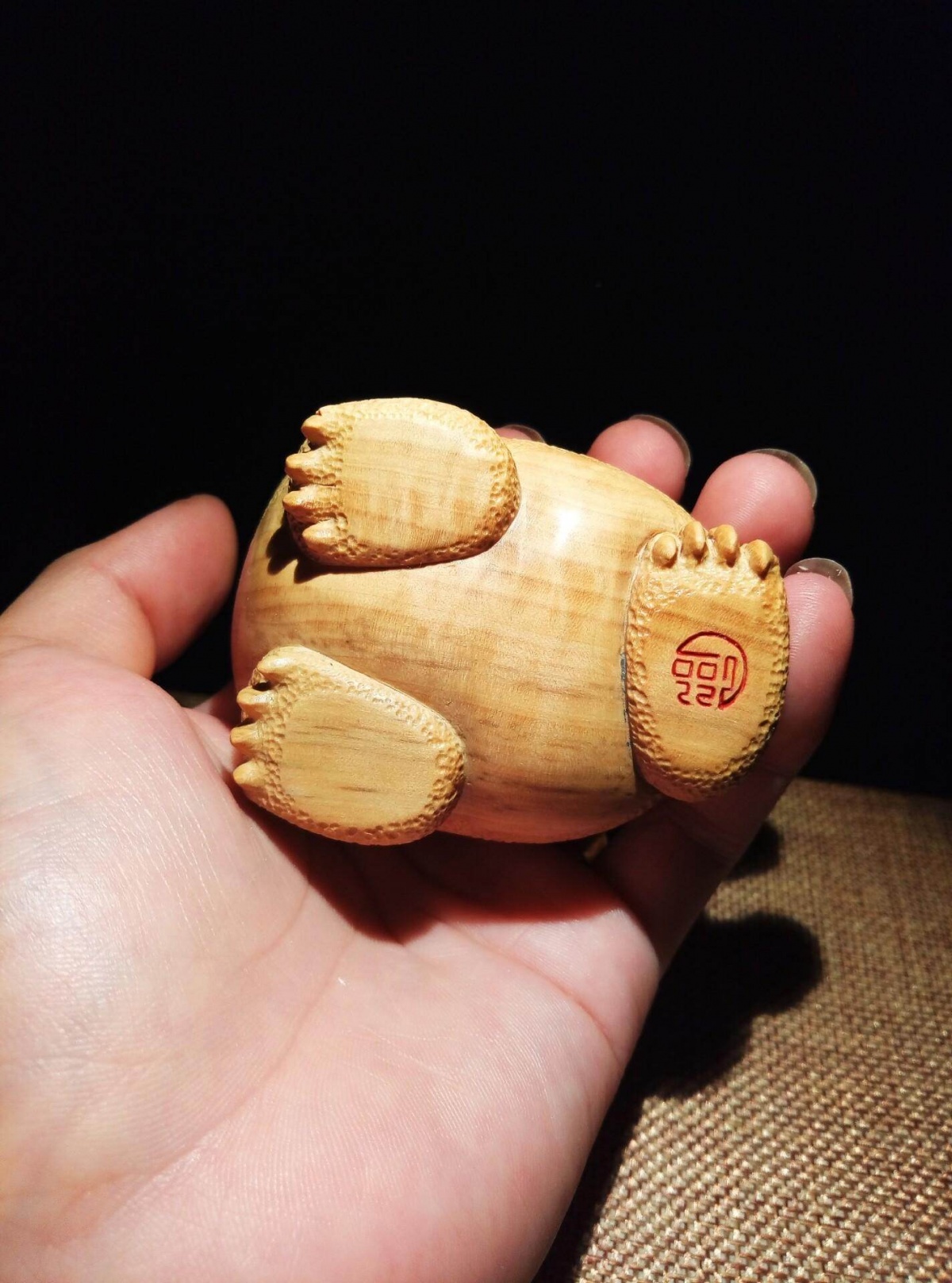 金蟾和金蟾区别,金蟾和蟾蜍是一种动物吗