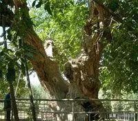 南疆映像,南疆印象系列简介