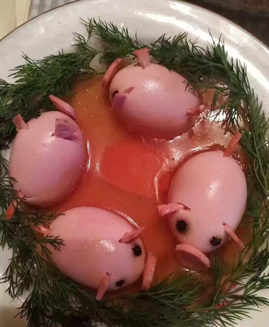 猪为什么会被列为十二生肖,为什么猪是十二生肖的最后一个