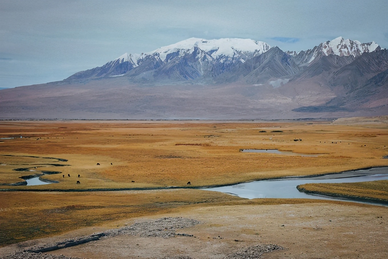 大美*疆新**，一个快递不包邮的地方，藏着不一样的异域风情