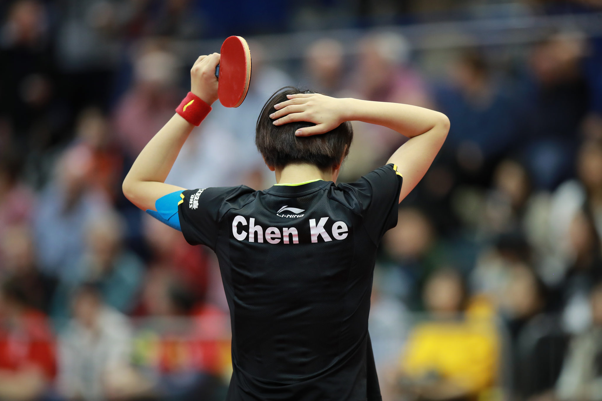 2020年香港国际公开赛,国际乒联澳门公开赛比赛时间表