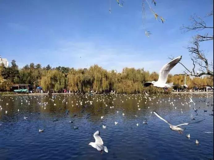 成都到大理房车旅行,成都至云南房车7天旅游攻略