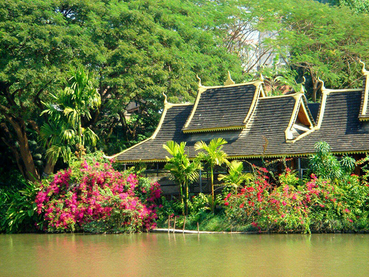 西南西双版纳,西双版纳原始森林氧吧