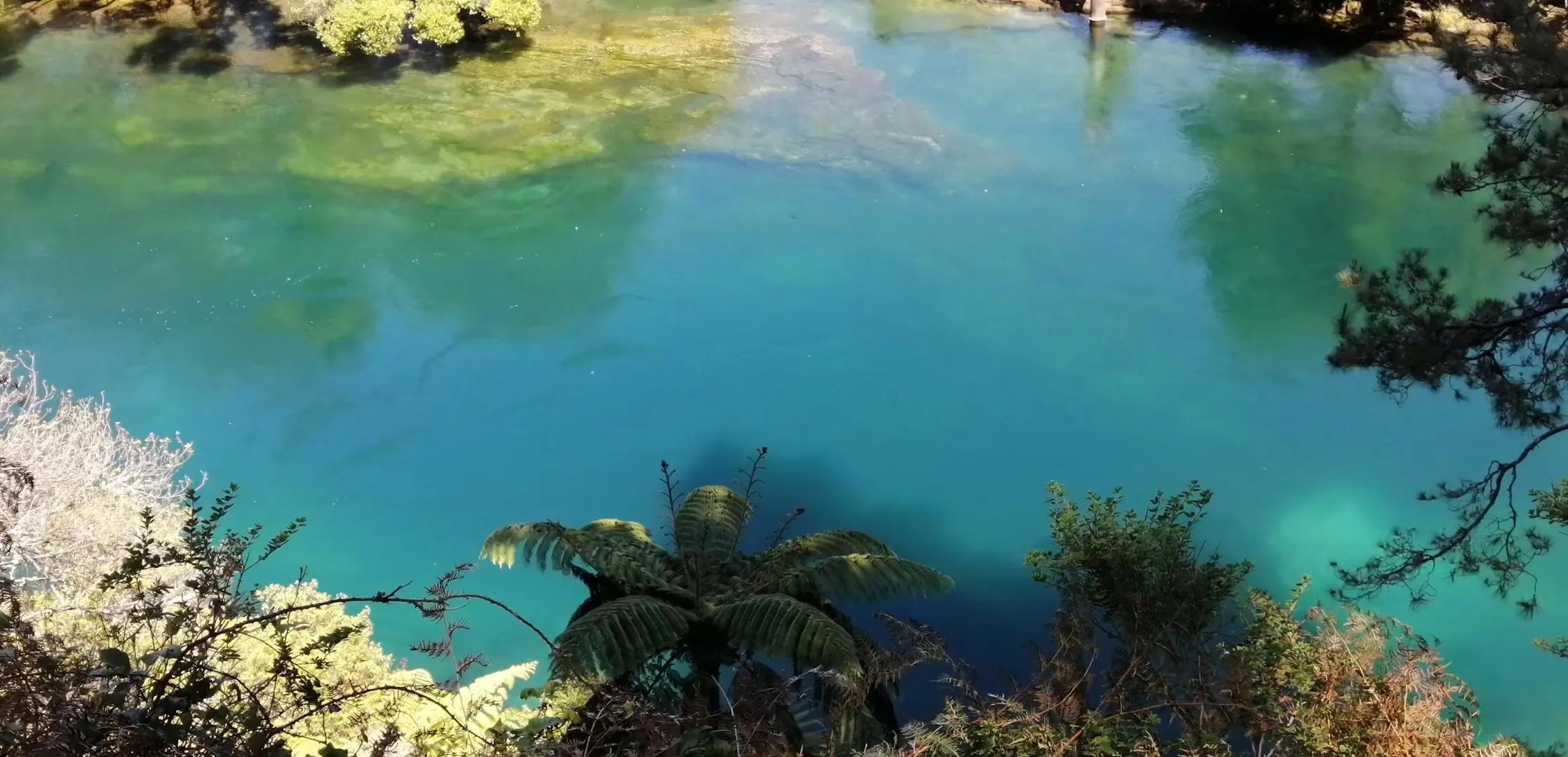 记忆中的旅行之新西兰（北岛）