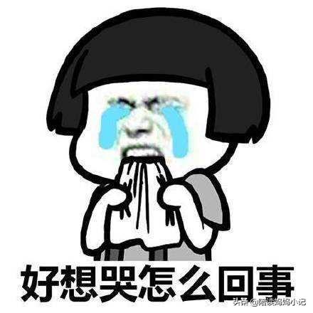 当一个吃货遇到另一个吃货,怎么应对素食主义主义者