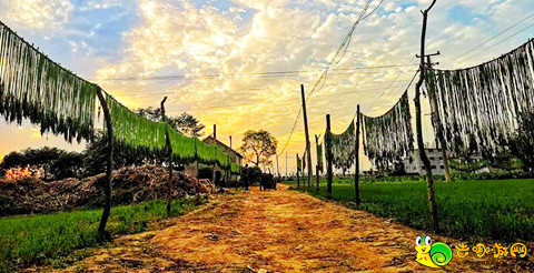 安徽四大古镇城父古镇,安徽涡阳十大古镇