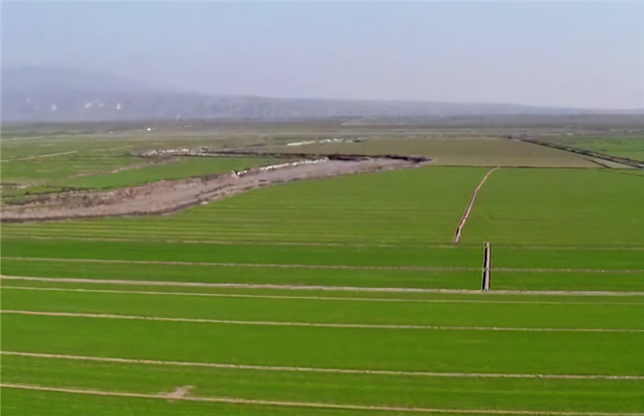 陕西银桥乳业集团有限公司,西安银桥乳业营收