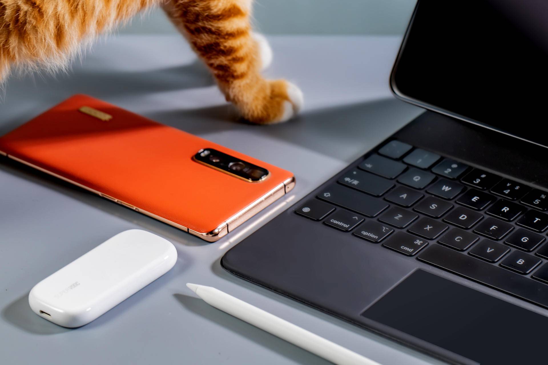 oppo超级闪充充电器80w超长,oppo新一代50w超闪饼干充电器