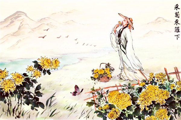 陶渊明的饮酒诗属于律诗还是绝句,陶渊明的五言绝句饮酒