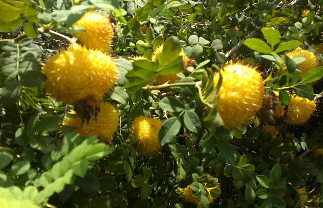 践行两山理念厚植高质量发展底色,践行两山理论推进新时代农村建设