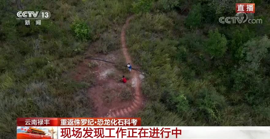 侏罗纪史前动物与人类和平共处,侏罗纪遗留下的动物有哪些