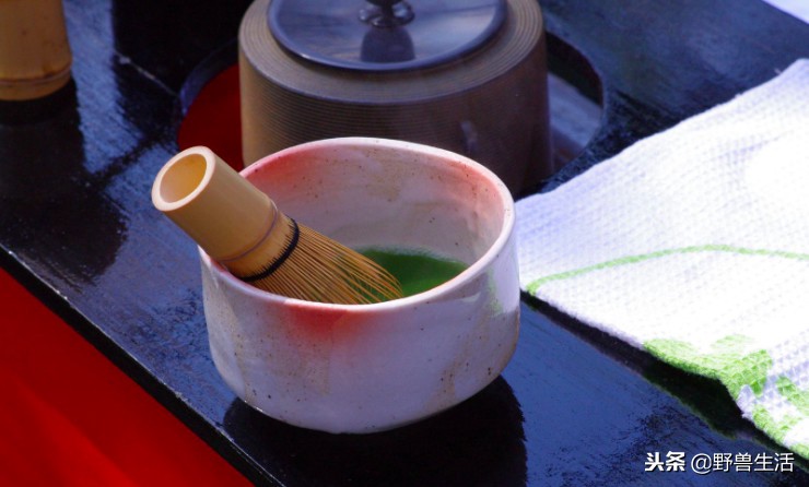 养胃抗衰老刮油的茶,喝这个茶竟能抗衰老