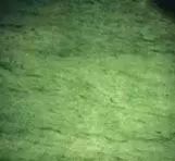 与翡翠相似的玉石有哪些,翡翠玉石真假鉴别技巧及方法