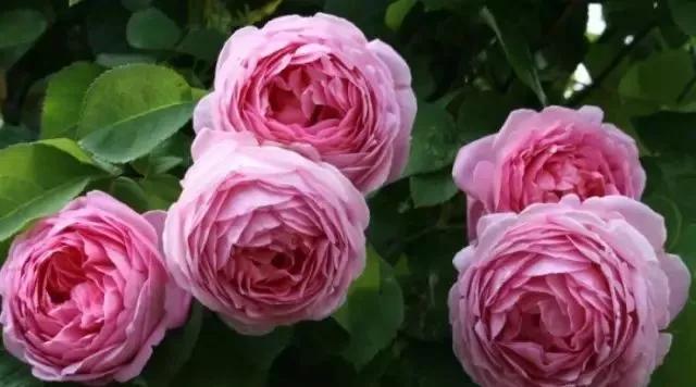 每天学习一点点女性小常识,每天学习一点点科普一下