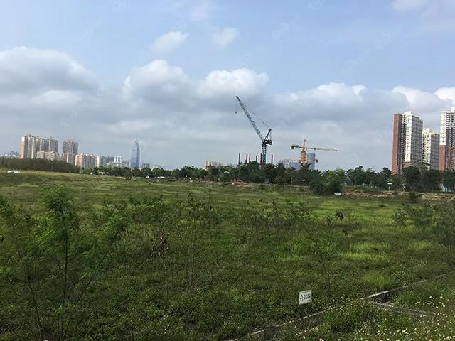 猛虎pk,猛虎队pk猎豹队谁强谁弱