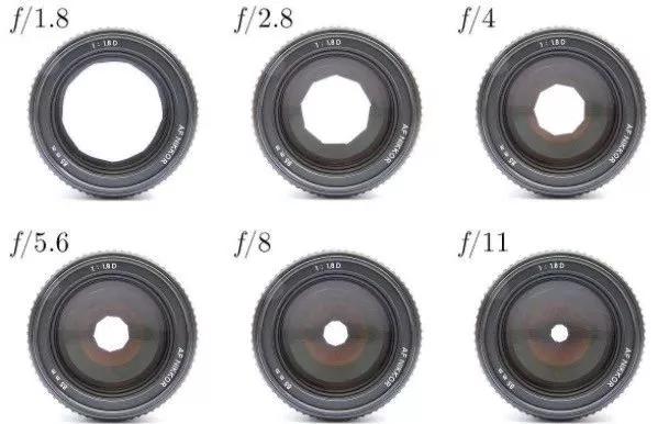 尼康入门单反,单反快速入门攻略