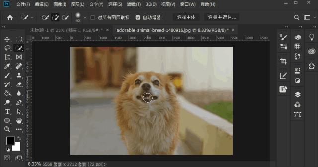 photoshop快捷键大全图解,photoshop快捷键对照表格大全