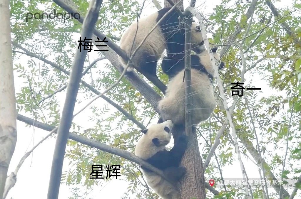 做塑料姐妹,真正的塑料姐妹是什么样的