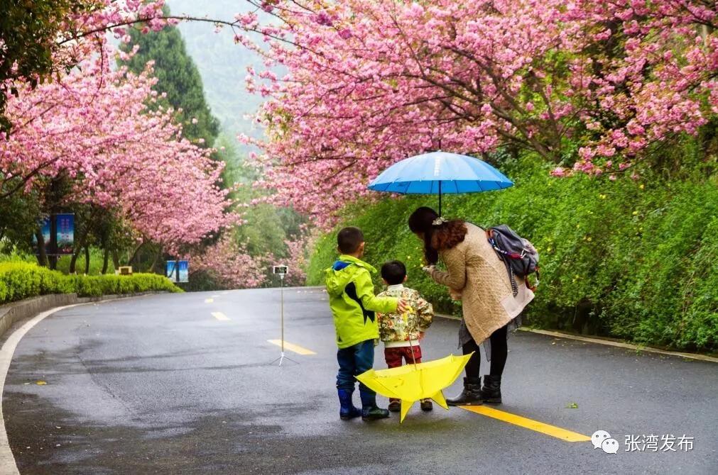 十堰市个人荣誉,十堰近期大奖得主